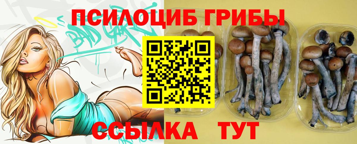Набережные Челны  Галлюциногенные грибы прущие грибы  Вход с VPN  Галлюциногенные грибы Psilocybe 